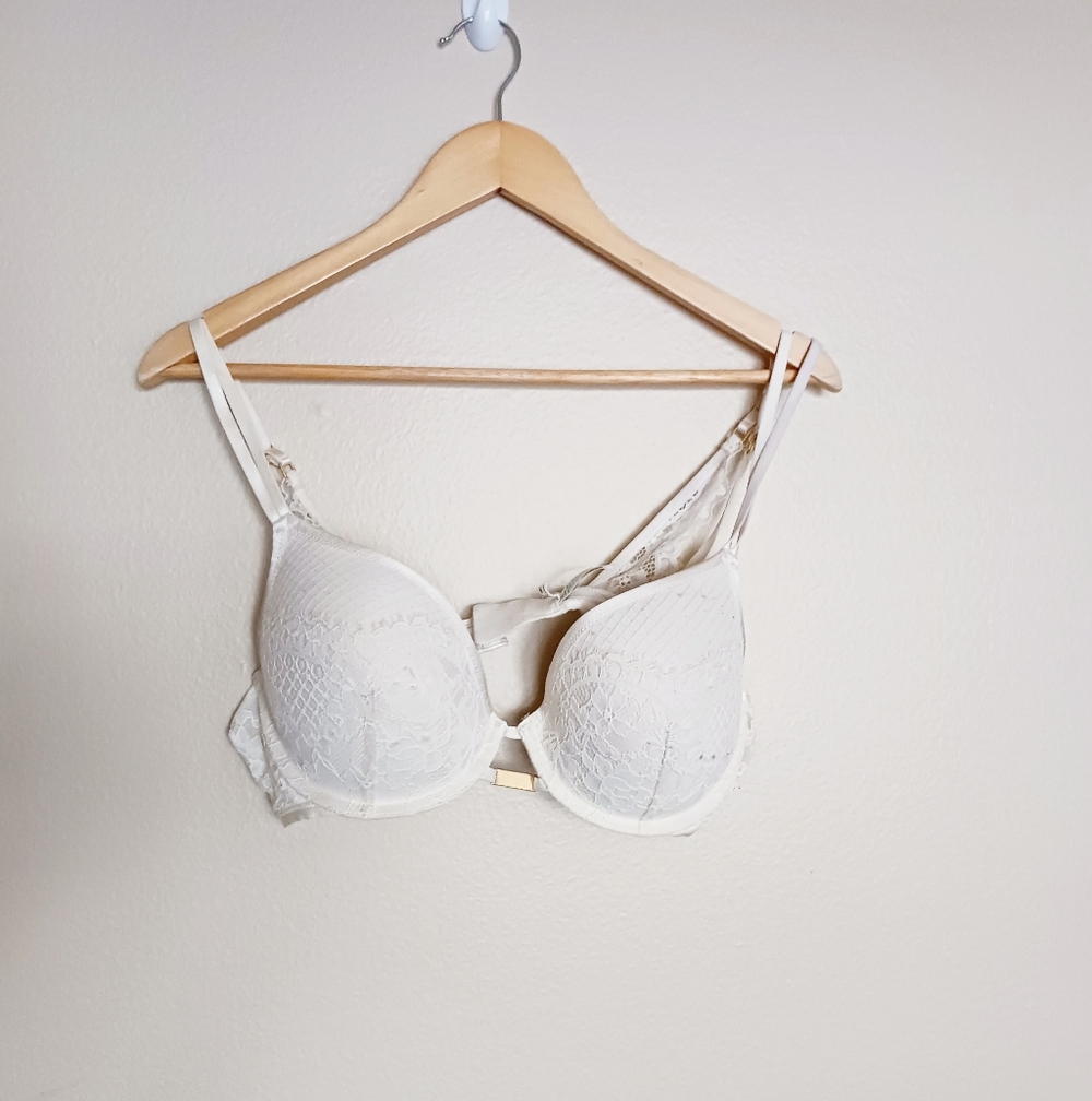 Aerie Show Off Plunge Push Up Lace Bra